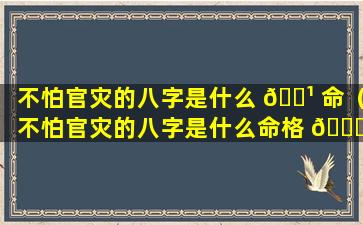 不怕官灾的八字是什么 🌹 命（不怕官灾的八字是什么命格 🐛 ）